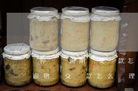 違停罰單逾期沒交罰款怎么處理-違停罰單逾期沒交罰款怎么處理呢