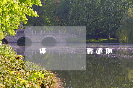違停貼罰單會有逾期嗎(違停被貼罰單扣分么)