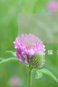違反保密協(xié)議有哪些違約責任