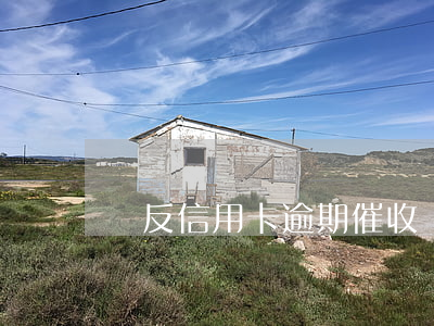 違反信用卡逾期催收(對信用卡逾期催收方式)