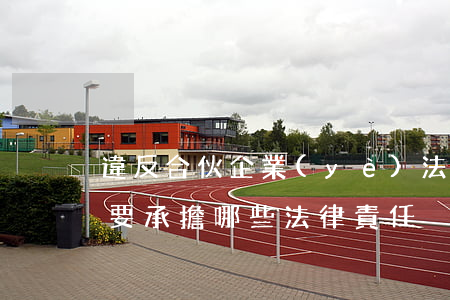 違反合伙企業(yè)法規(guī)定需要承擔哪些法律責任