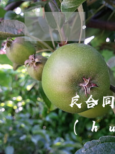 違反合同法會(huì)坐牢嗎(合同糾紛案會(huì)坐牢嗎?)
