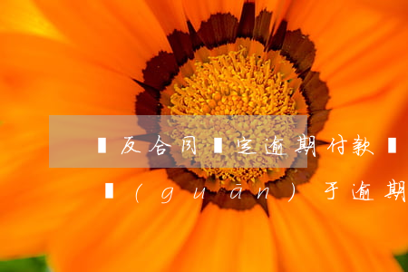 違反合同約定逾期付款計(jì)算 合同法關(guān)于逾期付款違約責(zé)任