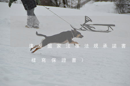 違反國家法律法規承諾書(我違反了規定怎樣寫保證書)