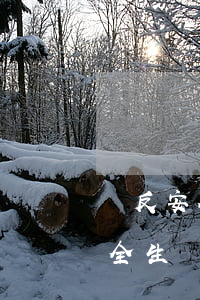 違反安全生產(chǎn)法逾期未整改 安全生產(chǎn)法拒不整改
