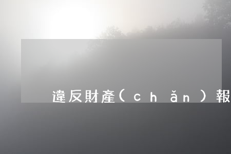 違反財產(chǎn)報告制度是什么意思