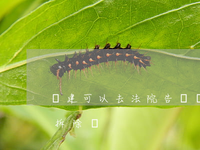 違建可以去法院告嗎(違建不拆可以起訴法院拆除嗎)