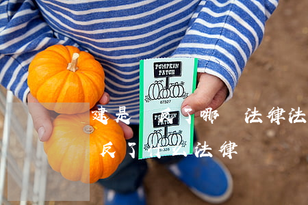 違建是違反了哪條法律法規(guī)(違建違反了什么法律)
