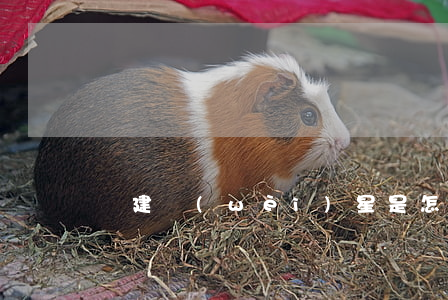 違建衛(wèi)星是怎么拍到的