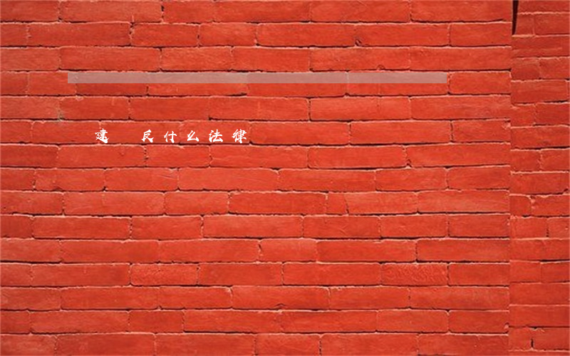 違建違反什么法律