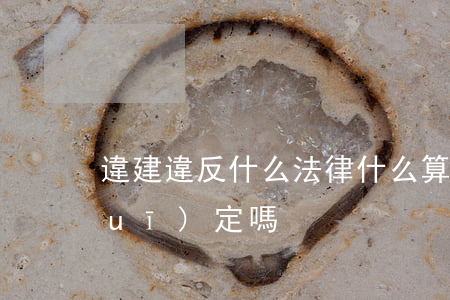 違建違反什么法律(什么算違建,法律有規(guī)定嗎)