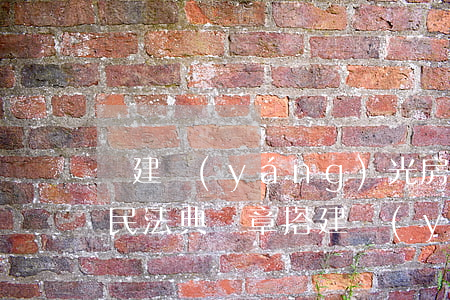 違建陽(yáng)光房可以向法院起訴嗎(民法典違章搭建陽(yáng)光房)