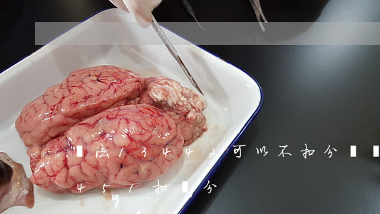 違法13442可以不扣分嗎(違法行為13451扣幾分)