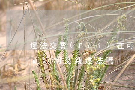 違法交費(fèi)在可以嗎(強(qiáng)制交錢違法嗎)