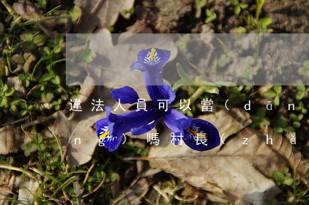 違法人員可以當(dāng)村長(zhǎng)嗎(村長(zhǎng)濫用職權(quán)犯法嗎)