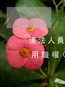 違法人員可以當(dāng)村長嗎(村長濫用職權(quán)犯法嗎)
