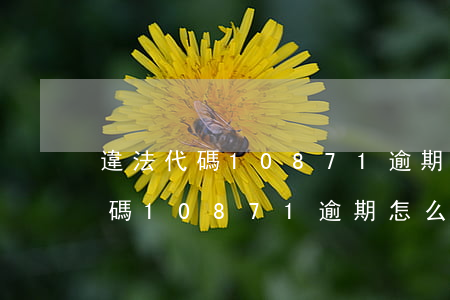 違法代碼10871逾期怎么處理-違法代碼10871逾期怎么處理的