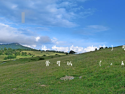 違法停車(chē)可以堵他排氣管嗎(堵排氣管可以讓車(chē)熄火嗎)