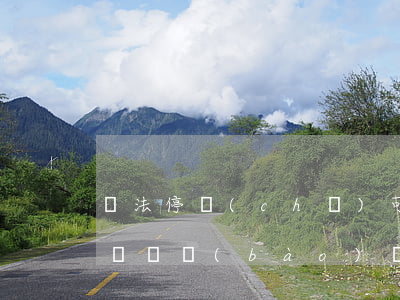 違法停車(chē)可以支付寶處理嗎(支付寶舉報(bào)違法停車(chē)車(chē)主會(huì)收到處罰么)