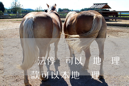 違法停車可以異地處理嗎(異地違章停車的罰款可以本地處理嗎)