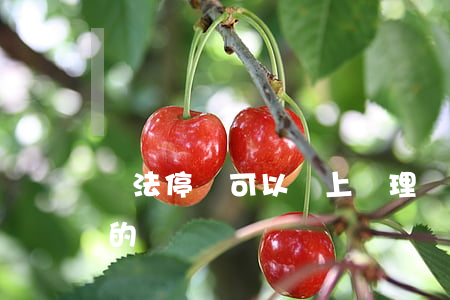 違法停車可以馬上處理嗎(違法停車怎么處理的)