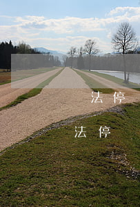 違法停車告知單手機(jī)可以查到嗎(違法停車告知單罰款網(wǎng)上可以查到嗎)