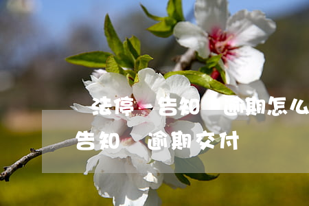 違法停車告知單逾期怎么處理方法（違法停車告知單逾期交付）
