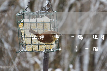 違法停車年檢一起處理可以嗎(車違章可以年檢時(shí)一起處理行不)