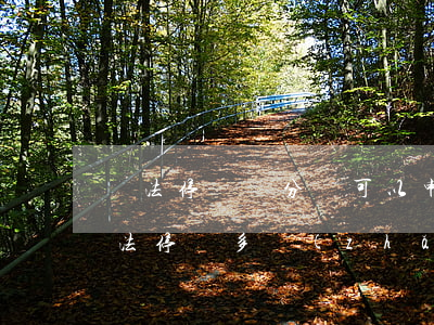 違法停車幾分鐘可以申請(qǐng)嗎(違法停車多長(zhǎng)時(shí)間算違法停車)