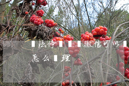 違法停車貼條微信可以處理嗎(汽車違停貼條怎么處理)
