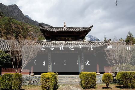 違法占林地可以強拆嗎(林地違建拆除法律規(guī)定)