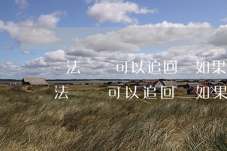 違法嗎錢可以追回嗎如果報(bào)案(違法嗎錢可以追回嗎如果報(bào)案)