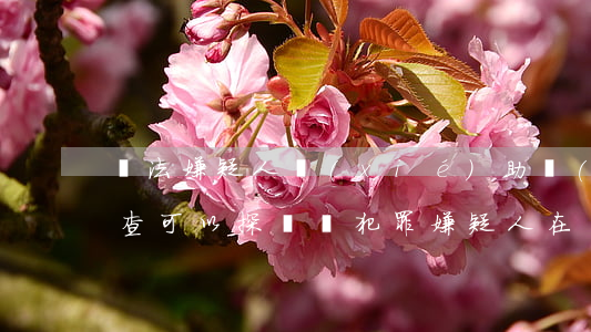 違法嫌疑人協(xié)助調(diào)查可以探視嗎(犯罪嫌疑人在調(diào)查期間可以探視嗎)