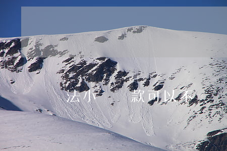 違法小額貸款可以不還嗎(小額貸犯法嗎)