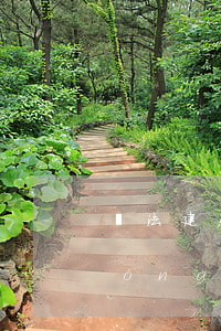 違法建房可以強(qiáng)拆嗎(農(nóng)村已建好的違建房子,能強(qiáng)拆嗎?)