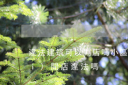違法建筑可以開店嗎(小區(qū)內(nèi)開店違法嗎)