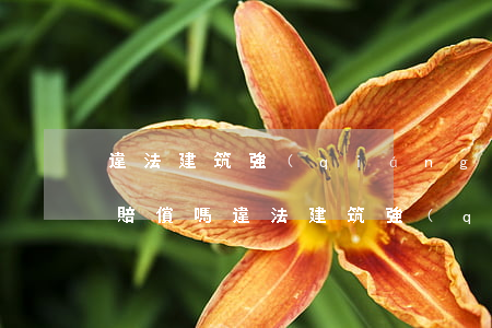 違法建筑強(qiáng)拆有賠償嗎可以賠償嗎(違法建筑強(qiáng)拆有賠償嗎可以賠償嗎)