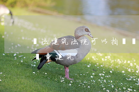 違法建筑法院可以拍賣嗎(司法拍賣的房子有違章建筑)