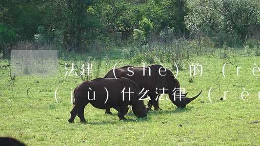 違法建設(shè)的認(rèn)定依據(jù)什么法律(認(rèn)定違建的法定程序)