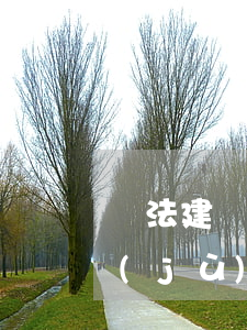 違法建設(shè)的認(rèn)定依據(jù)什么法律(違建如何認(rèn)定)