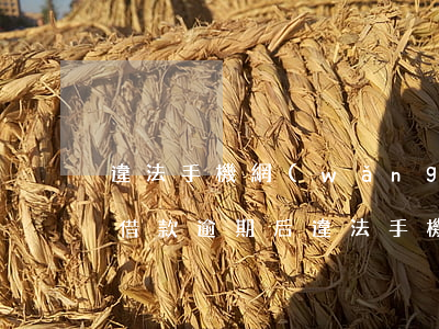 違法手機網(wǎng)絡(luò)平臺借款逾期后(違法手機網(wǎng)絡(luò)平臺借款逾期后)