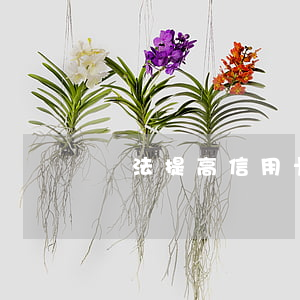 違法提高信用卡透支額度(信用卡惡意透支金額)