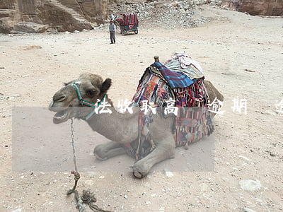 違法收取高額逾期費(逾期收高額違約金)