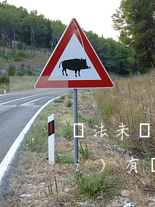 違法未處理可以審車(chē)嗎(沒(méi)有處理違章能不能審車(chē))