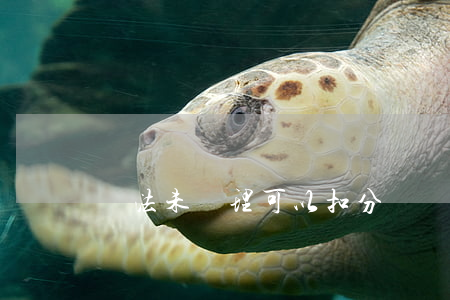 違法未處理可以扣分嗎