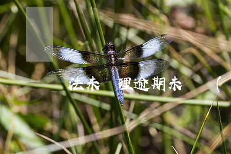 違法未處理逾期未審驗(yàn)查封