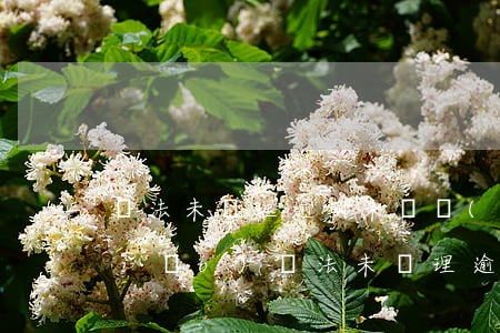 違法未處理逾期未檢驗(yàn)注銷(xiāo)(違法未處理逾期未檢驗(yàn))