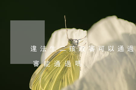 違法生二孩政審可以通過嗎(本人屬于二胎政審能通過嗎)