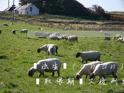 違法生產(chǎn)拘留后可以取保候單嗎(取保期間又被刑事拘留能取保嗎)