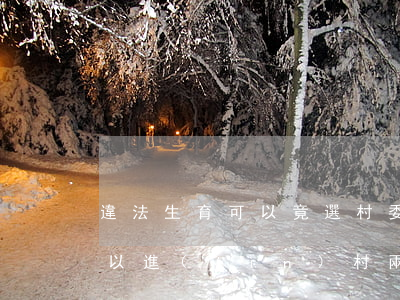 違法生育可以竟選村委會嗎(違反計劃生育可以進(jìn)村兩委嗎)